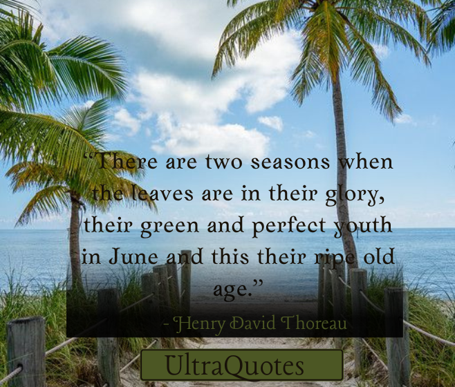 “There are two seasons when the leaves are in their glory, their green and perfect youth in June and this their ripe old age.”