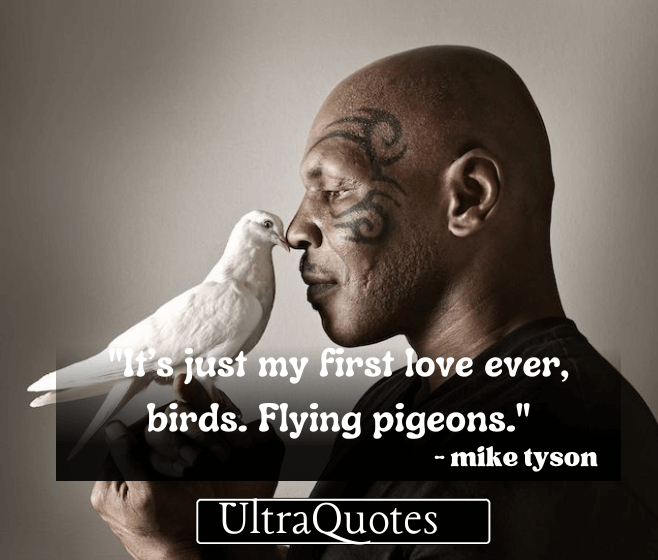 "It’s just my first love ever, birds. Flying pigeons."