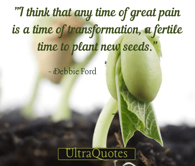 "I think that any time of great pain is a time of transformation, a fertile time to plant new seeds."