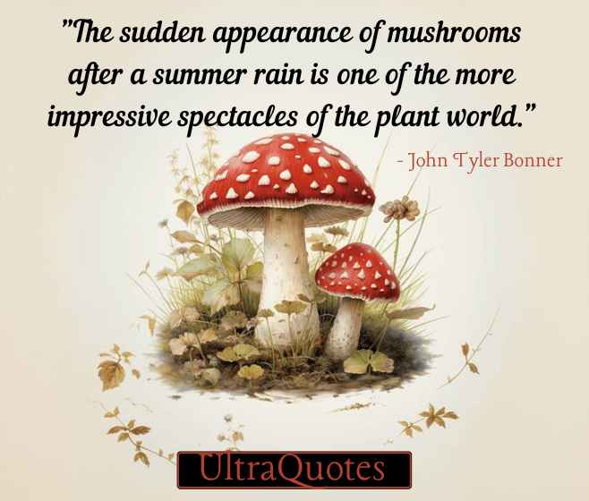 "The sudden appearance of mushrooms after a summer rain is one of the more impressive spectacles of the plant world."