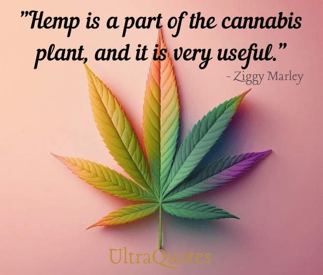 "Hemp is a part of the cannabis plant, and it is very useful."