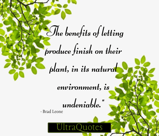 "The benefits of letting produce finish on their plant, in its natural environment, is undeniable."