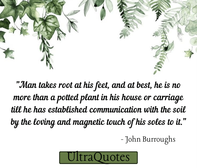 "Man takes root at his feet, and at best, he is no more than a potted plant in his house or carriage till he has established communication with the soil by the loving and magnetic touch of his soles to it."