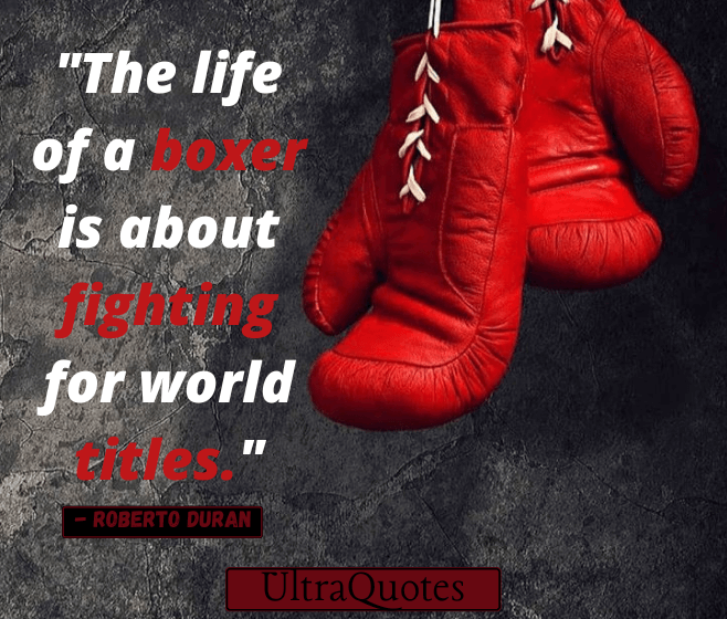 "The life of a boxer is about fighting for world titles."