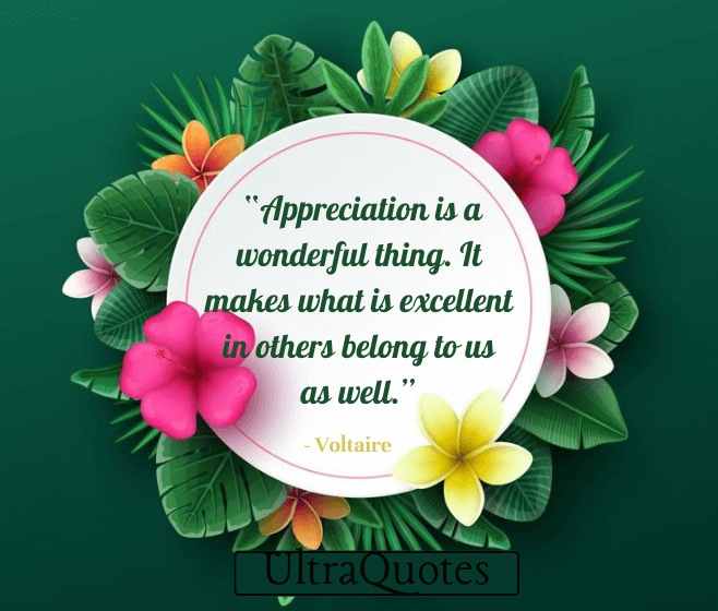 “Appreciation is a wonderful thing. It makes what is excellent in others belong to us as well.”