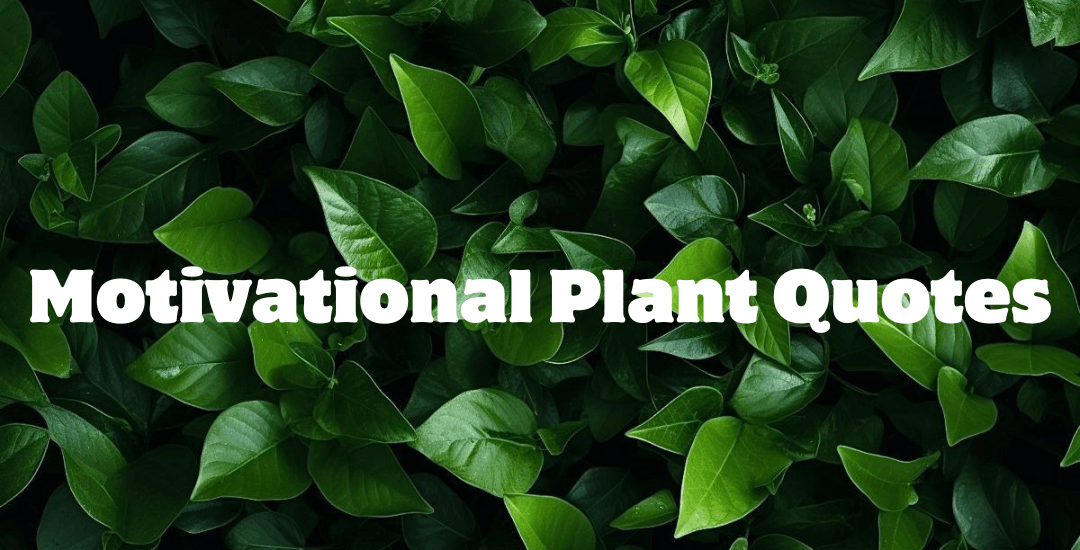 140 Best Motivational Plant Quotes